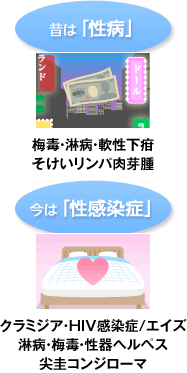 昔は「性病」(梅毒・淋菌・軟性下疳・そけいリンパ肉芽腫)、今は「性感染症」(クラミジア・HIV感染症/エイズ・淋菌・梅毒・性器ヘルペス・尖圭コンジローマ)