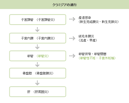 クラミジアの進行