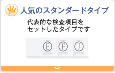 �l�C�̃X�^���_�[�h�^�C�v ��\�I�Ȍ������ڂ��Z�b�g�����^�C�v�ł�