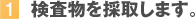 �P�D���������̎悵�܂��B