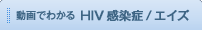 ����ł킩�� HIV������/�G�C�Y