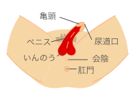 フォアダイスの症状
