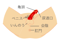 �T����牊�̏Ǐ�