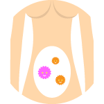 免疫力が下がると、STDに感染しやすくなったり体の中の菌が悪さをすることも