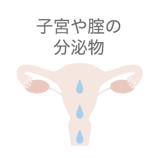 そもそも”おりもの”って何なの?