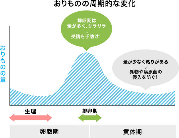 おりものの周期的な変化