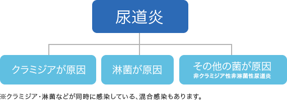 ※クラミジア・淋菌などが同時に感染している、混合感染もあります。