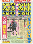 日刊ゲンダイ(日刊現代) 2008年5月号