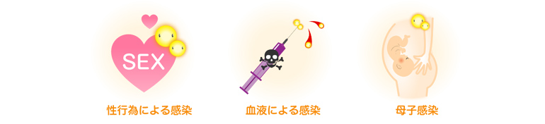 性行為による感染 血液による感染 母子感染