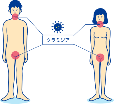 治す 早く 器 精 女性 ヘルペス