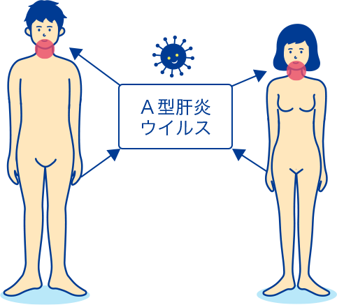 A型肝炎の感染経路図