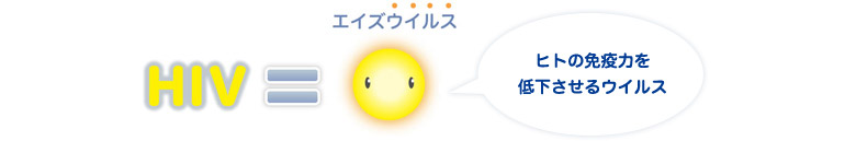 HIV = エイズウイルス ヒトの免疫力を低下させるウイルス