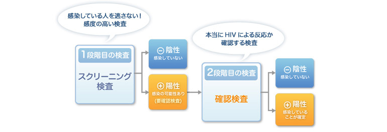 [1段階目の検査]スクリーニング検査…感染している人を逃さない！感度の高い検査 [2段階目の検査]確認検査…本当にHIVによる反応か確認する検査