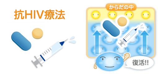 抗HIV療法で、体の免疫力が回復します