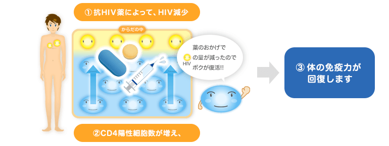 抗HIV療法で、体の免疫力が回復します