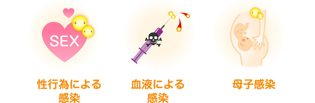 性行為による感染 血液による感染 母子感染