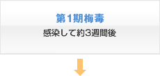 第1期梅毒