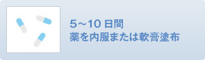 5〜10日間薬を内服または軟膏塗布