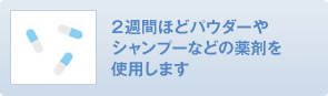 2週間ほどパウダーや シャンプーなどの薬剤を 使用します