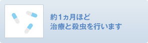 約1ヶ月ほど 治療と殺虫を行います