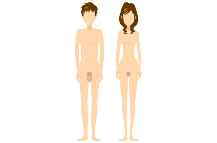 疥癬の発症箇所